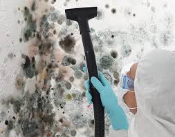 Best Comprehensive Air Testing for Mold Contaminants in Locust Valley, NY